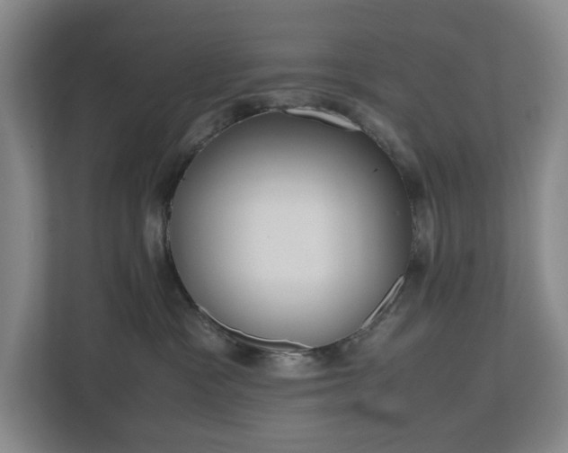X0000112530333200908241512