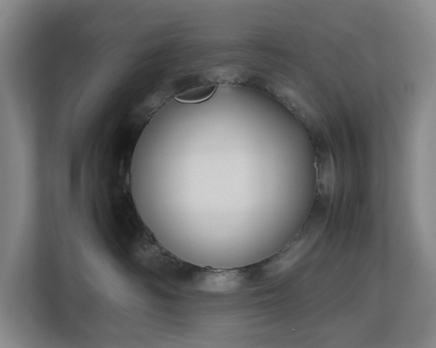 X0000112530334200908241512