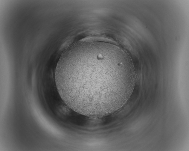 X0000112530335200908241512