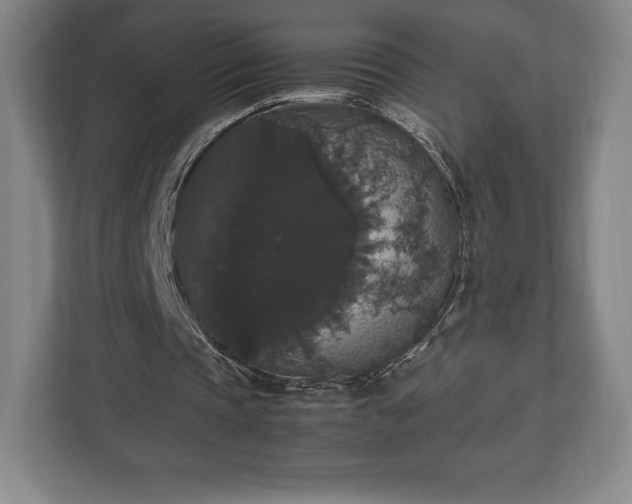 X0000112530337200908241511