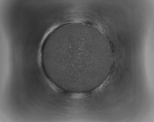 X0000112530342200908241511