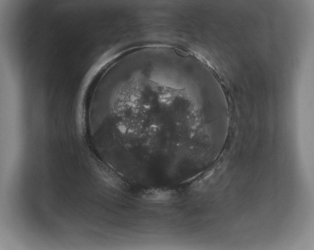 X0000112530343200908241511