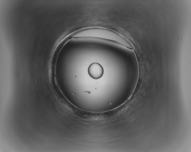 X0000112530344200908241511