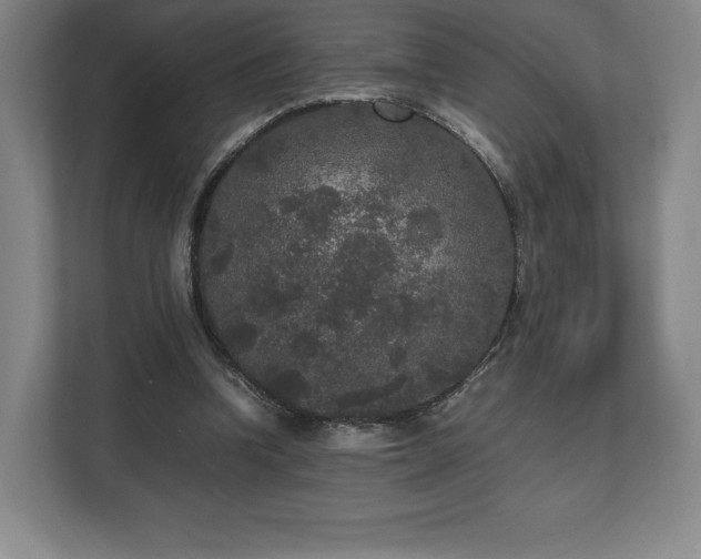 X0000112530346200908241511
