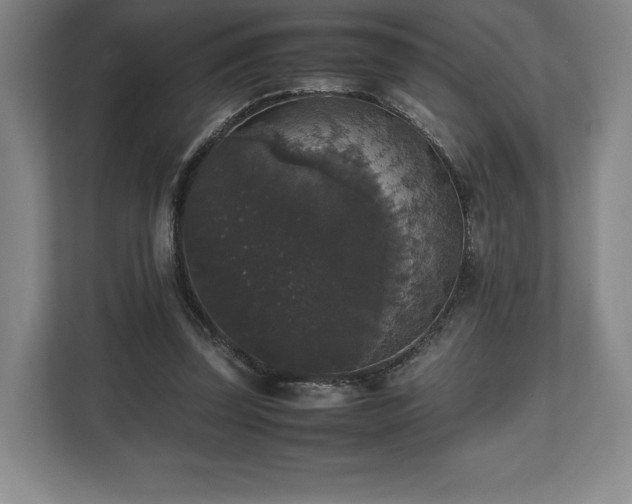 X0000112530347200908241511