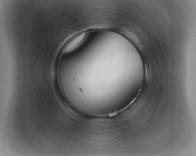 X0000112530348200908241511