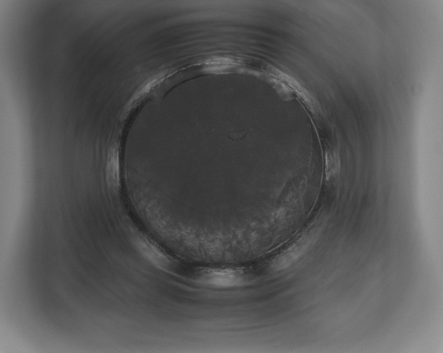 X0000112530349200908241511