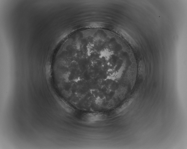 X0000112530351200908241511