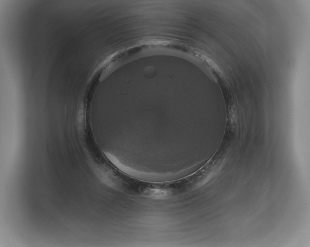 X0000112530352200908241511