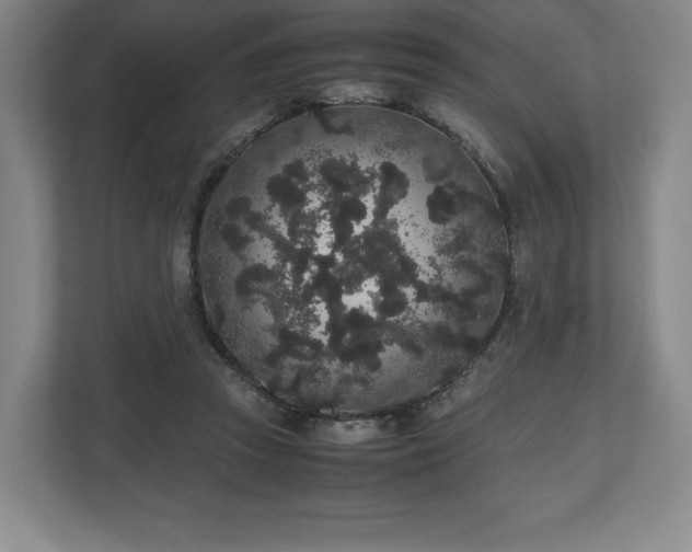 X0000112530353200908241511