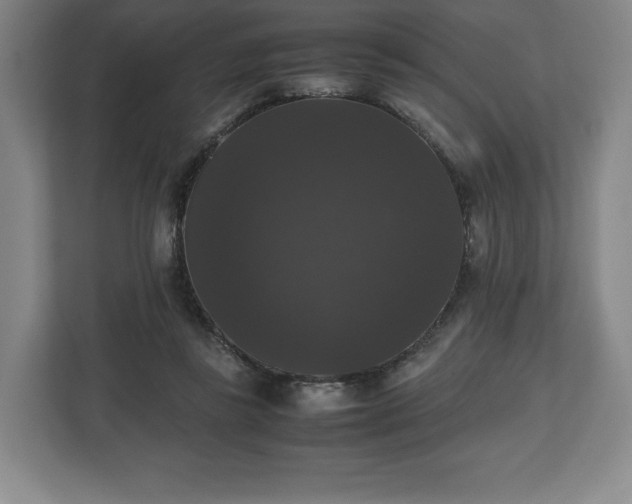 X0000112530355200908241511