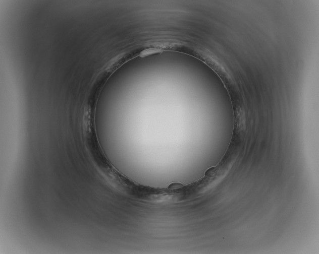 X0000112530356200908241511