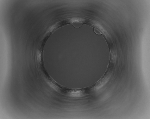 X0000112530357200908241511
