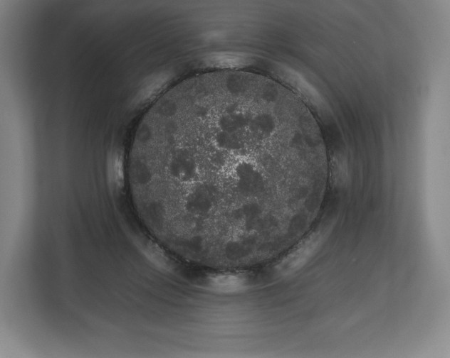 X0000112530358200908241511