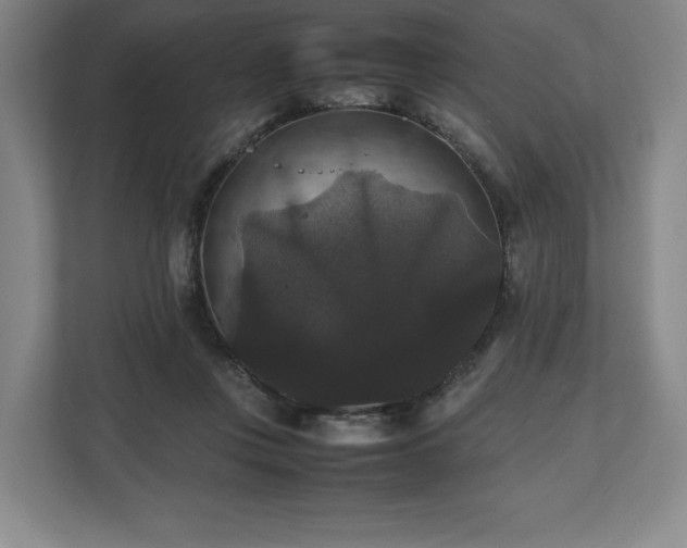 X0000112530359200908241511