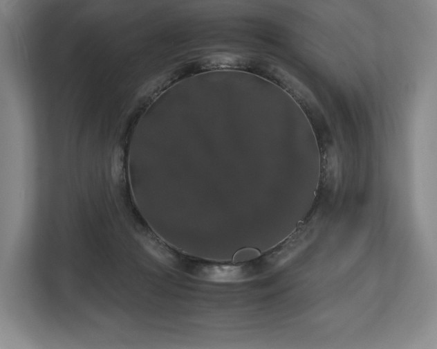 X0000112530361200908241511