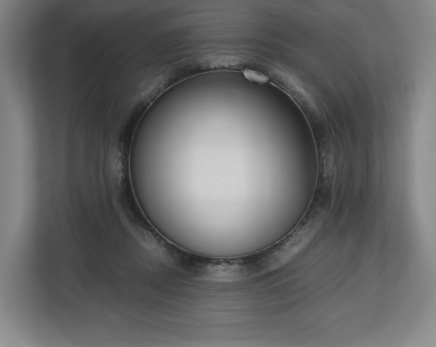 X0000112530362200908241511
