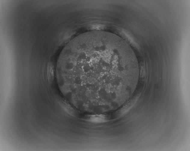 X0000112530363200908241511