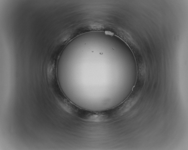 X0000112530364200908241511