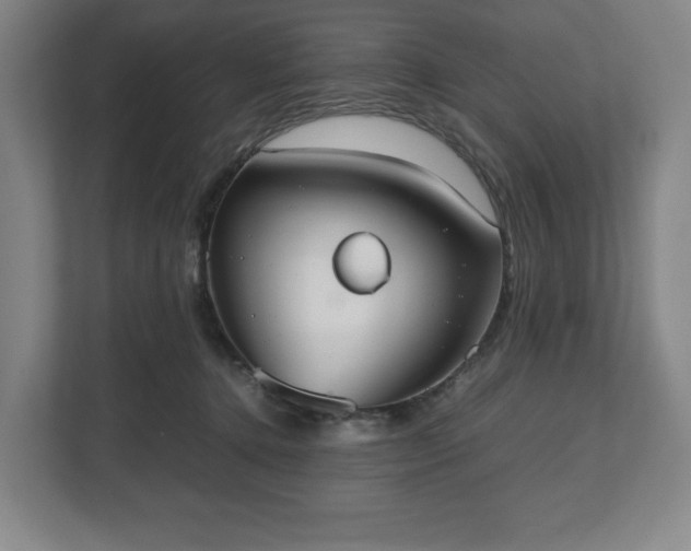 X0000112530368200908241511