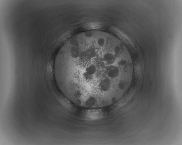 X0000112530373200908241511