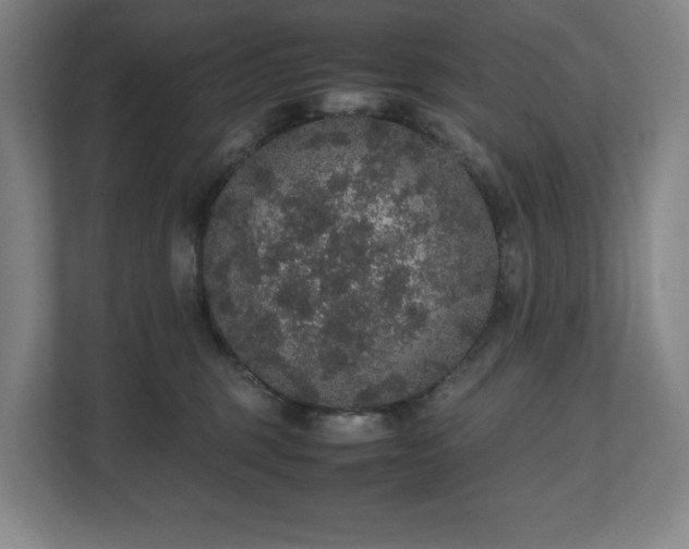X0000112530375200908241511
