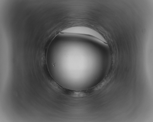 X0000112530376200908241511