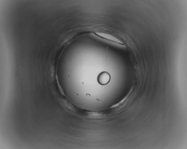 X0000112530380200908241511