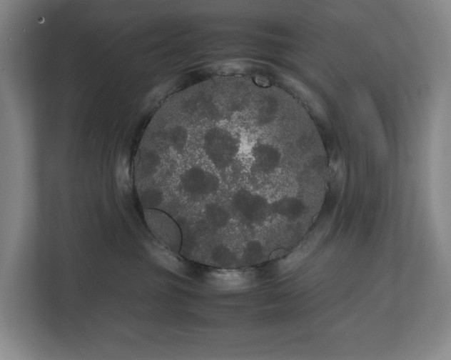X0000112530381200908241511