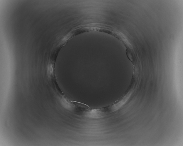X0000112530382200908241512