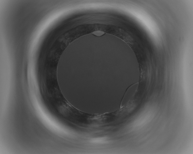 X0000112530383200908241512