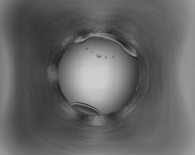 X0000112530384200908241512