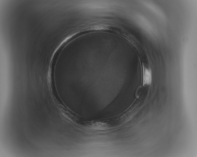 X0000112530387200908241511