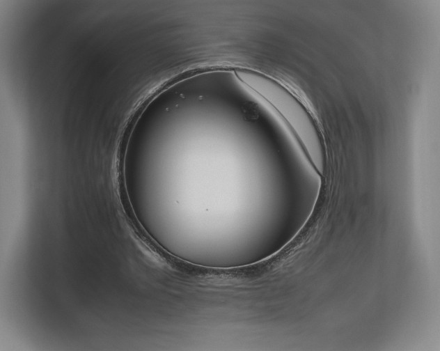 X0000112530389200908241511