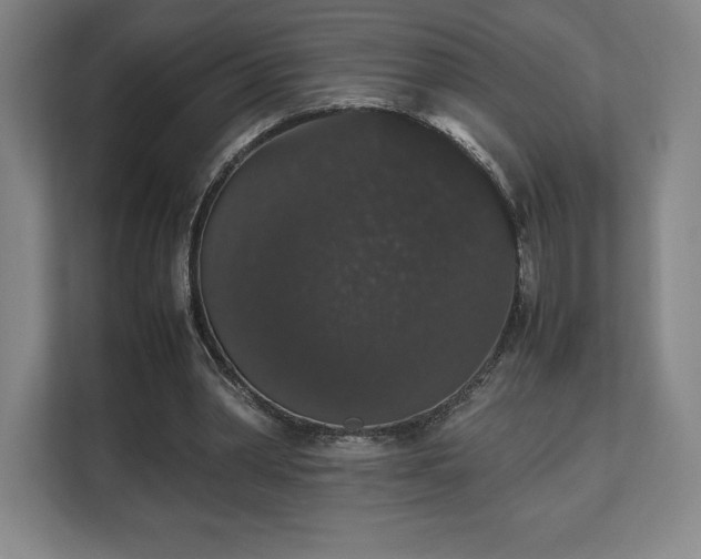 X0000112530390200908241511