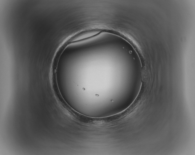 X0000112530391200908241511