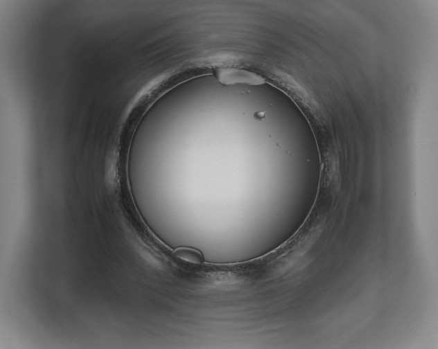 X0000112530392200908241511