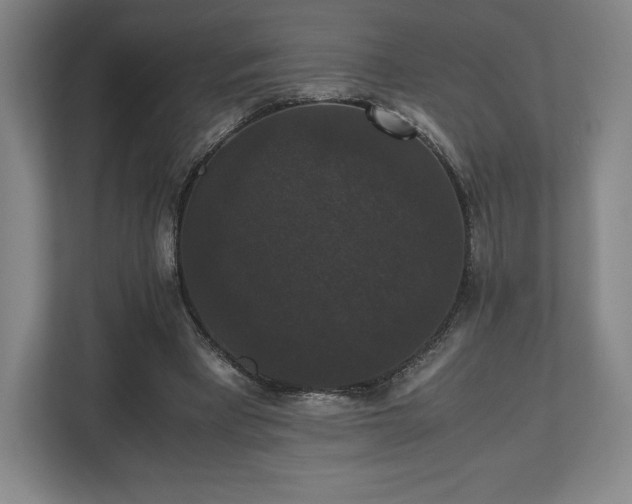 X0000112530393200908241511