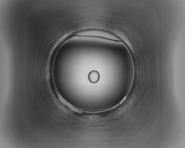 X0000112530395200908241511