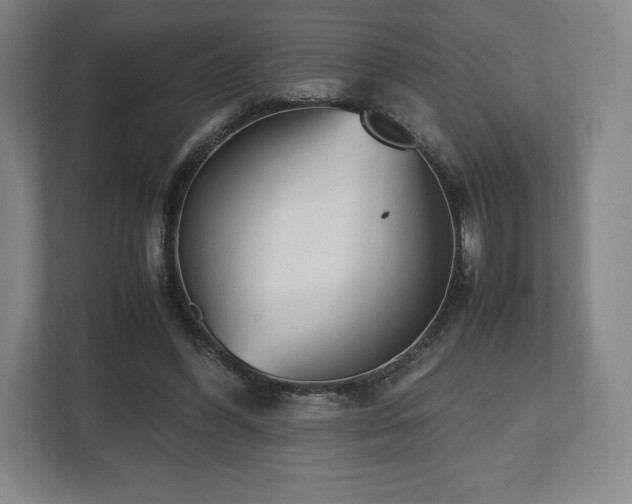 X0000112530396200908241511