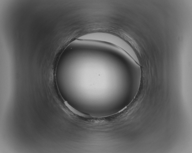 X0000112530401200908241511