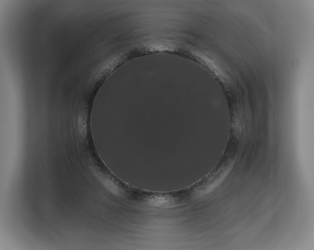 X0000112530402200908241511