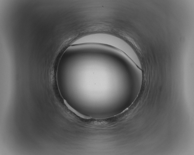 X0000112530403200908241511