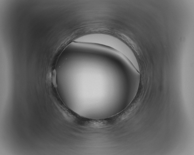 X0000112530405200908241511