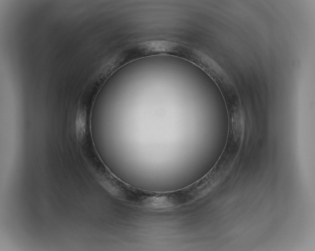 X0000112530406200908241511