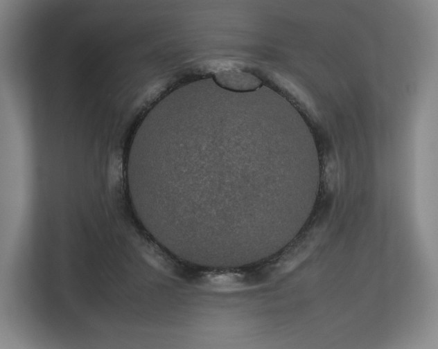 X0000112530407200908241511