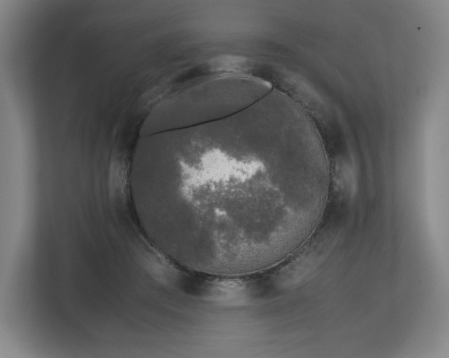 X0000112530409200908241511