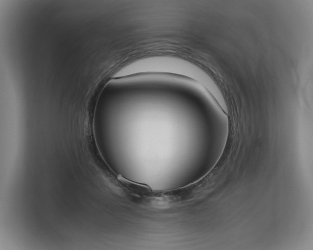 X0000112530411200908241511