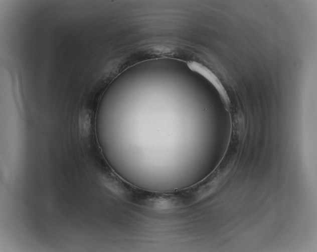 X0000112530412200908241511