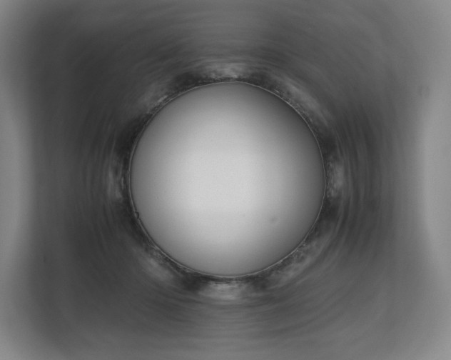 X0000112530414200908241511